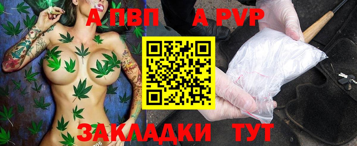 Alfa_PVP крисы CK  A PVP СК КРИС  Вход с VPN  Ногинск 