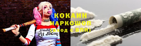эйфоретик Кукмор