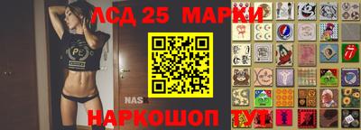 apvp Камышлов