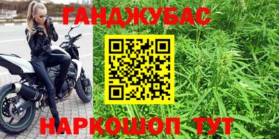 apvp Камышлов