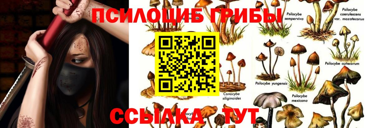 Псилоцибиновые грибы прущие грибы Ногинск
